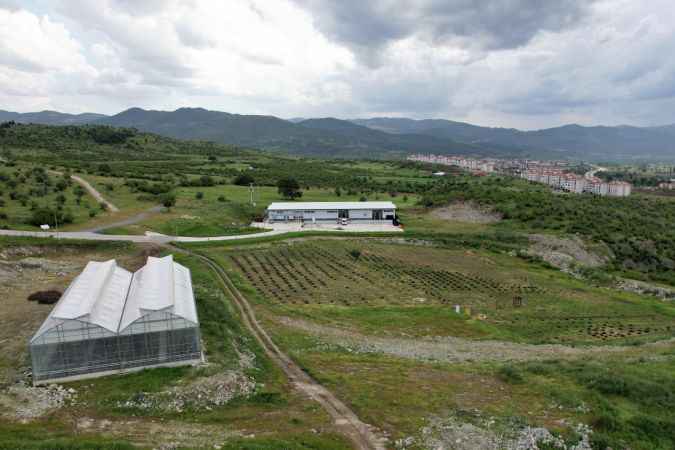 Sındırgı'da kurulan jeotermal serada çilek üretimine başlandı