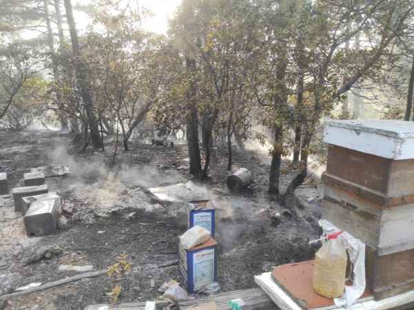 Tekirdağ'da ormanlık alanda çıkan yangın söndürüldü