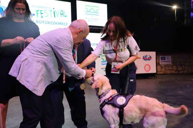Büyükçekmece Belediyesinden depremde görev yapan iki köpeğe madalya 
