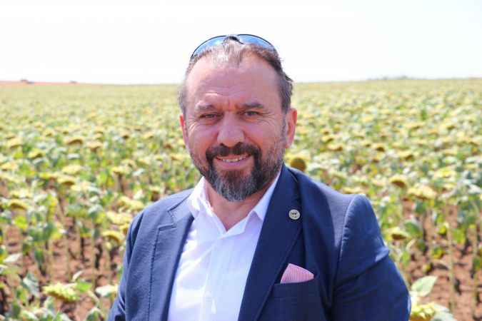 Trakya'da ekilen yerli hibrit ayçiçekleri sıcaklıktan daha az etkilendi