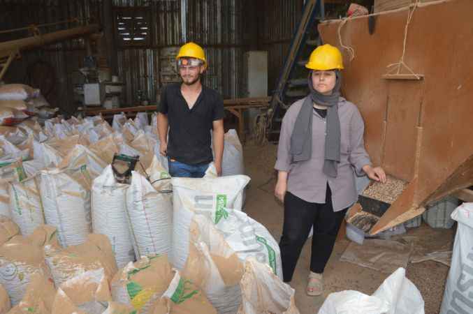 Sakarya'da KOSGEB desteğiyle tesis kuran üniversiteli, kömüre alternatif pelet üretiyor