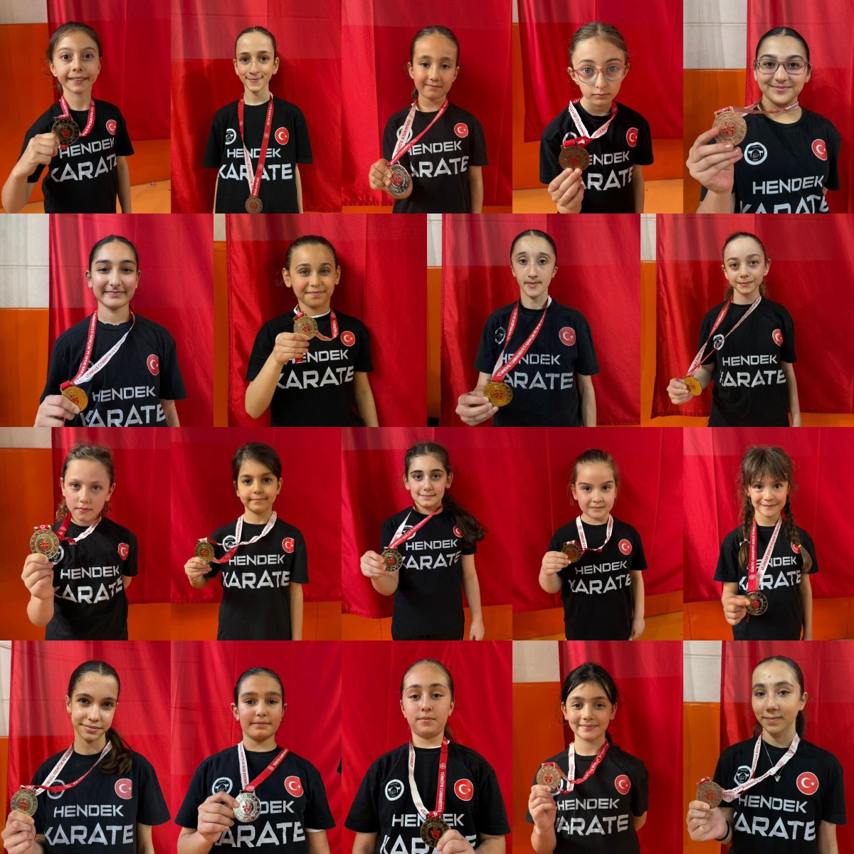 Geyve Karete turnuvasında Hendek Olimpik spor kulübü 36 madalya aldı