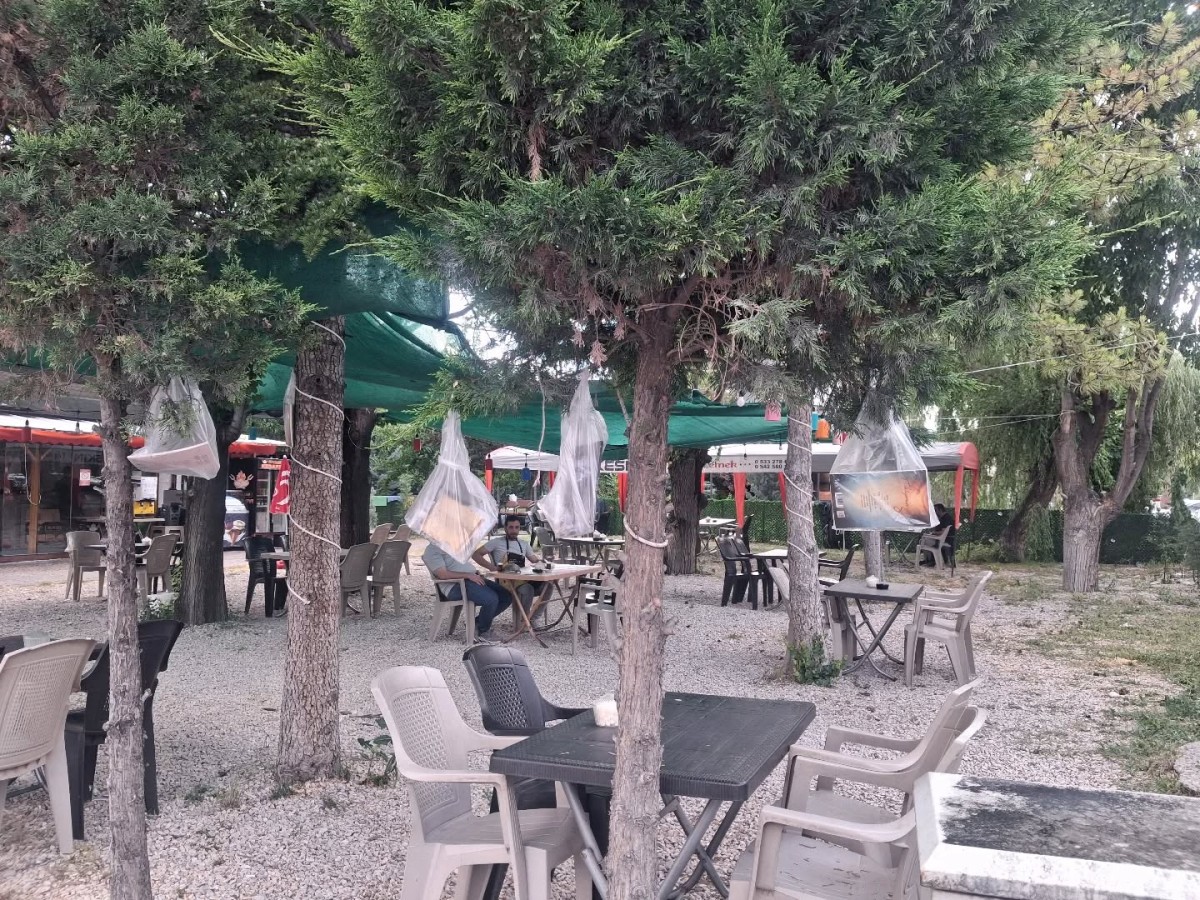  KONYALI ÖĞRETMEN CİHANBEYLİ’DE AĞAÇLARA KENDİ ESERLERİNİ ASTI
