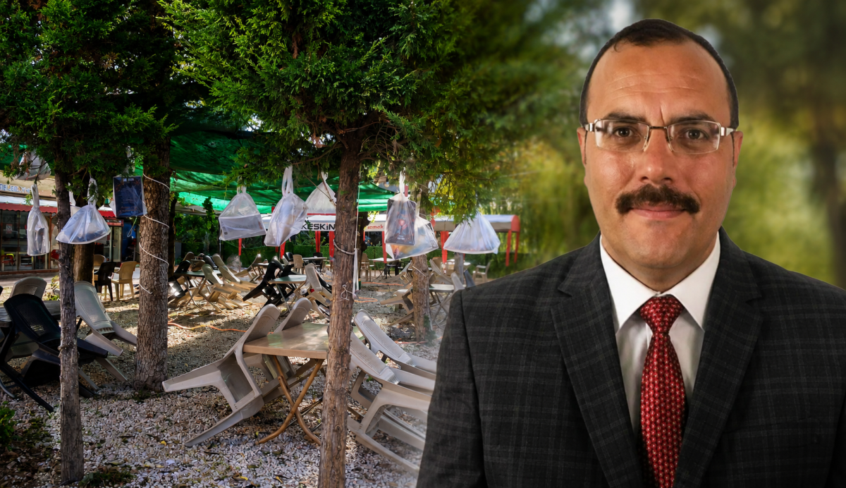 Kitapları ağaç dalına asarak hediye etti 