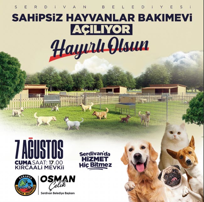 Serdivan'da Sahipsiz Hayvanlar Bakımevi Hizmete Açılıyor; Can Dostlara Güvenli Yuva