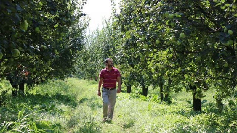 Sakarya üretti, Hollanda kazandı!