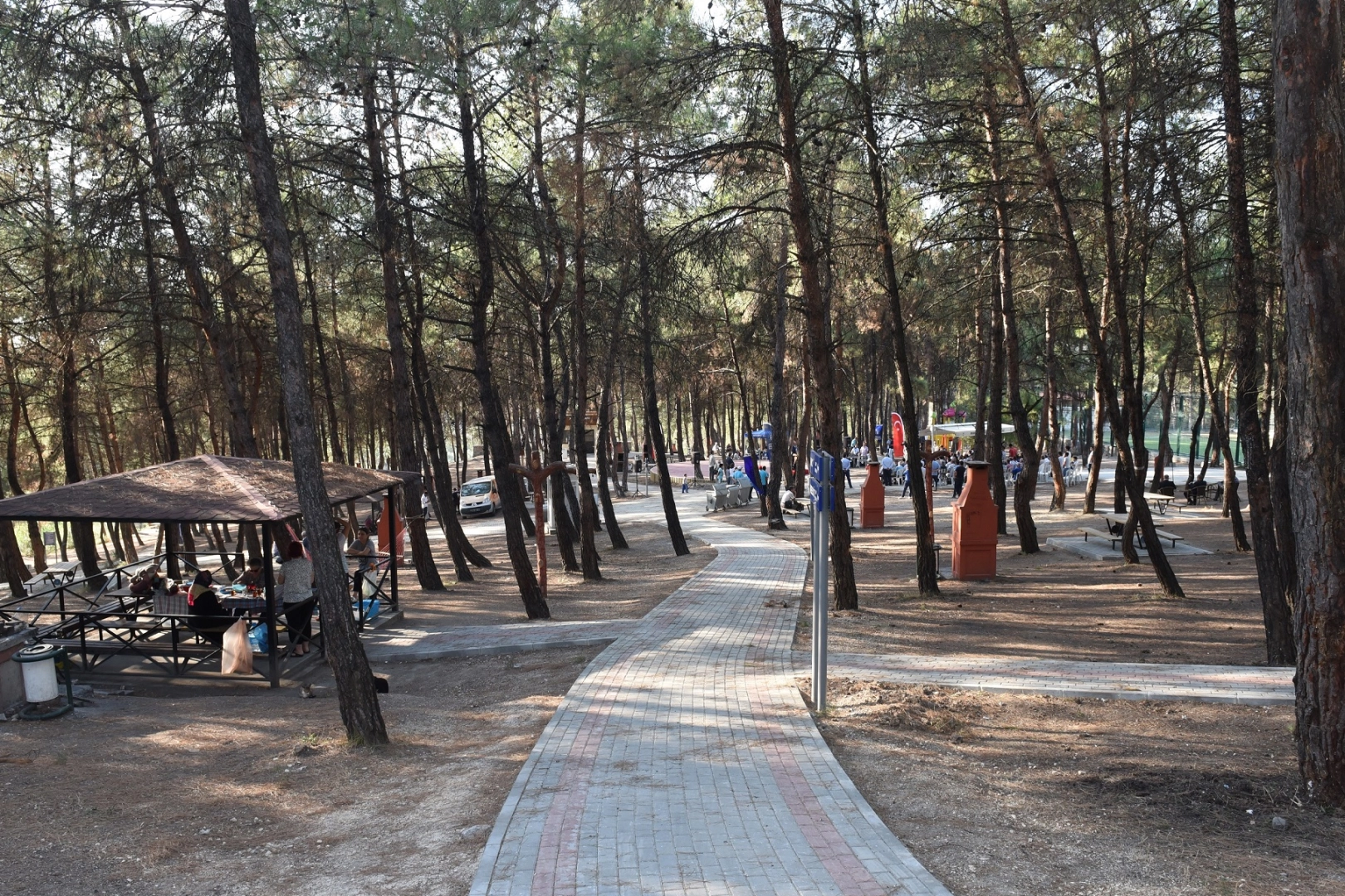 Bursa’da Ormanlara Giriş Yasaklandı: Yeni Tedbirler Açıklandı