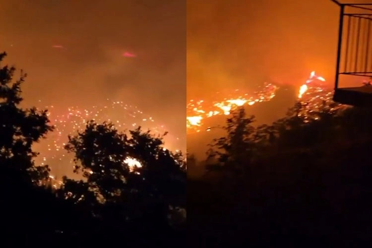 Alanya yangınında durum ciddi boyutta