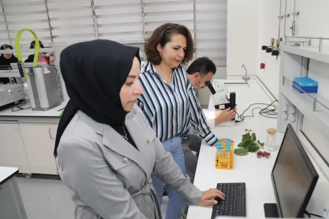 BTÜ’de Diyabet Hastalarına Özel Gıda Kaplaması Geliştirildi