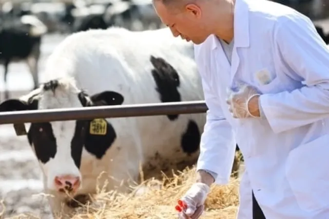 Tarımsal girdi Mart'ta yükseldi... Veteriner harcamaları revaçta