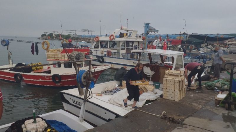 Düzceli balıkçılar yeni sezonda elleri dolu dönüyor
