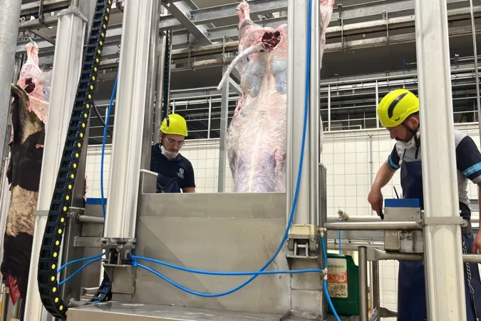 Kocaeli'den uyarı...! Sakatatları açık halde çöpe atmayın