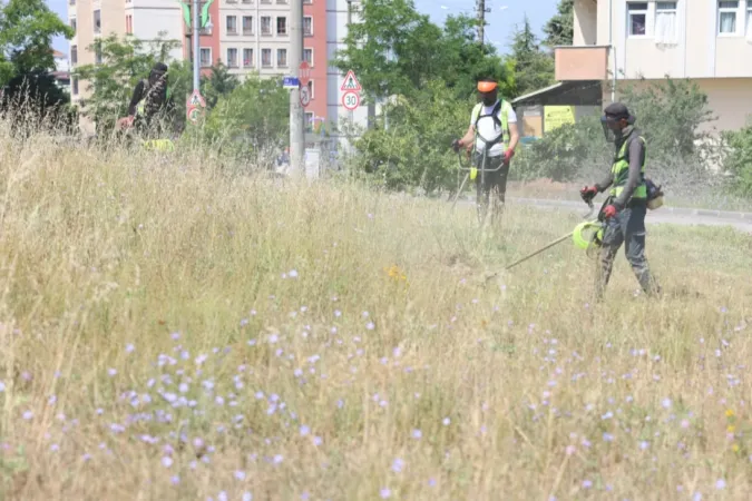 Kocaeli Çayırova'da boş arazilerdeki otlar biçiliyor