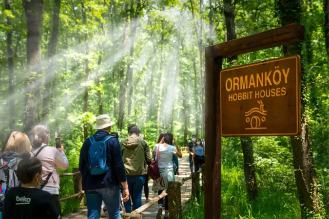 Ormanya’da yaz hazırlıkları tamam