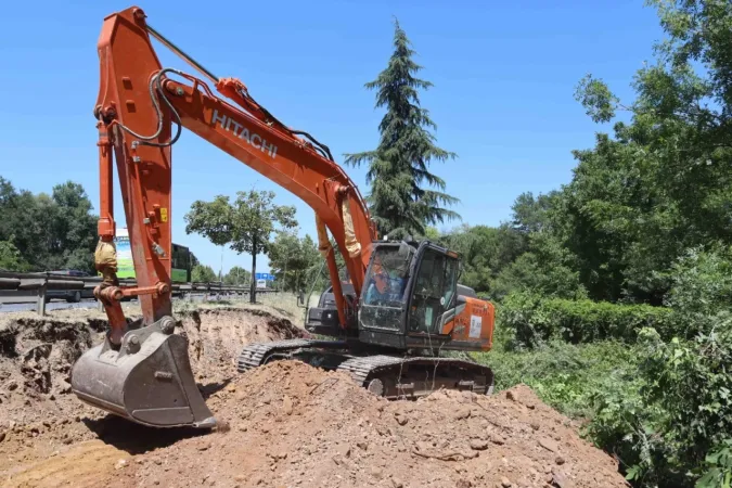 Kocaeli'de sökülen ağaçlar geleceğe taşınıyor