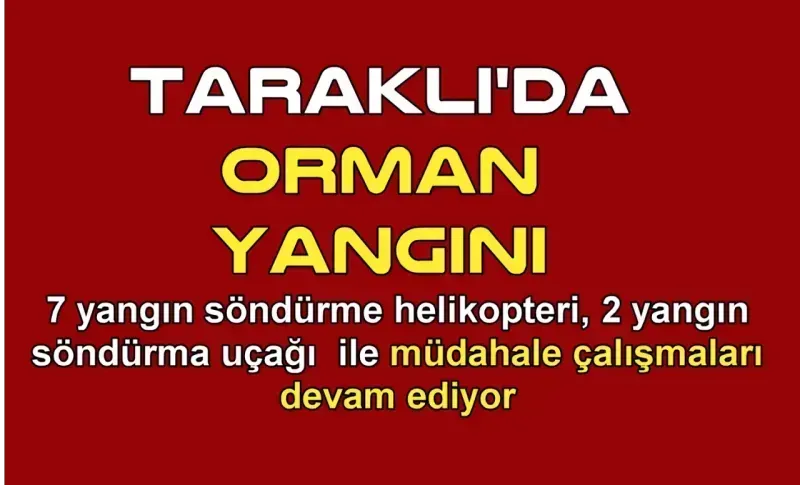 Taraklı yangınında Valilikten yeni bilgilendirme