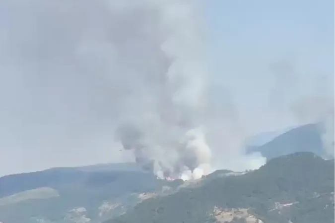 Balıkesir Sındırgı'da orman dışı alanda yangın!