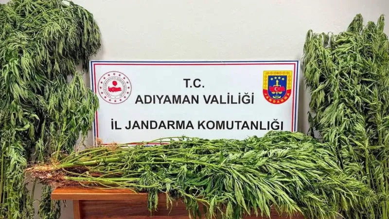Adıyaman’da uyuşturucu operasyonu: 9 gözaltı