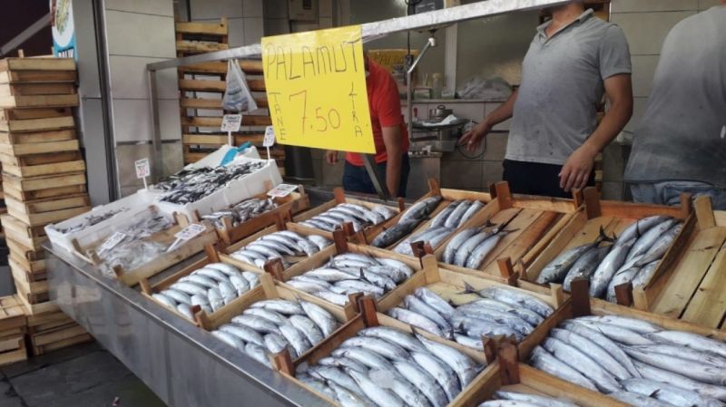 Akçakoca’da Palamut 7,5 TL