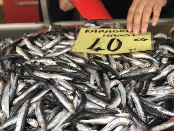 Hamside umutlar önümüzdeki aylara kaldı