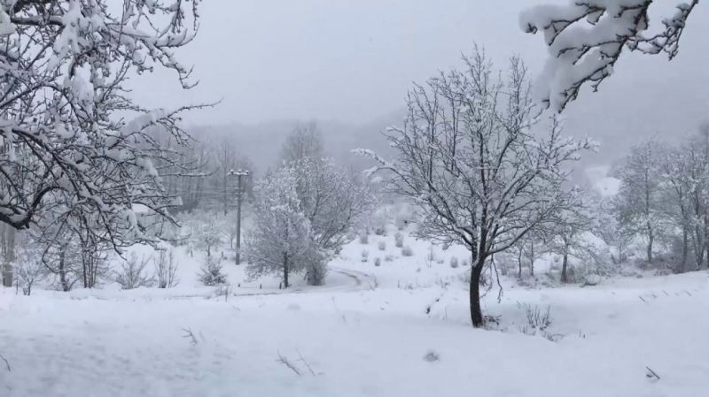 Kar yağışı, Dikmen Yaylası’nda seyrine doyumsuz manzaralar oluşturdu