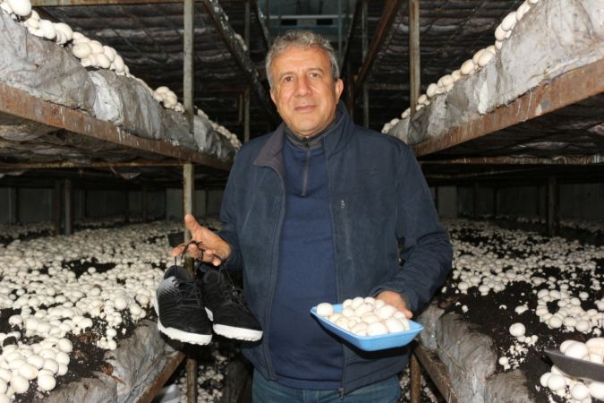 Yeşil sahalarda umduğunu bulamayınca dev mantar tesisi kurdu