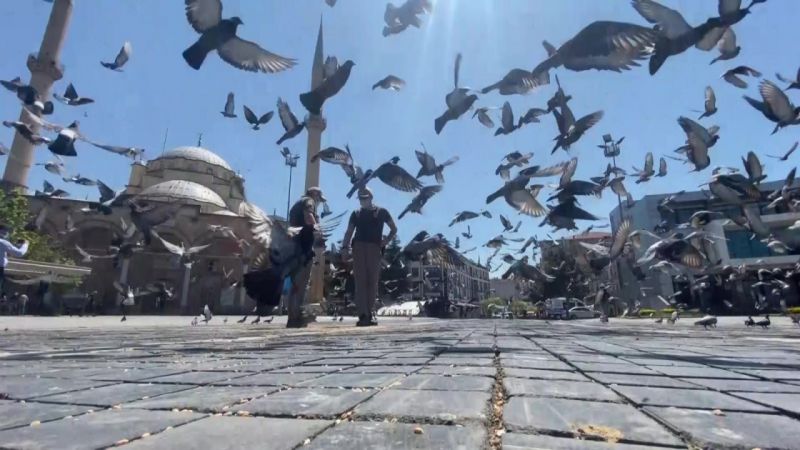 Sokak hayvanlarını ‘Haydi’ besledi