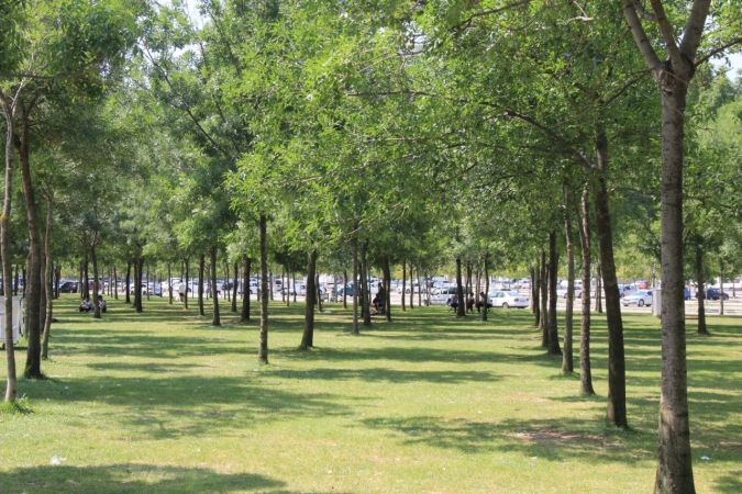 Hissedilen sıcaklığın 40 dereceyi aştığı Kocaeli’de sahiller boş kaldı