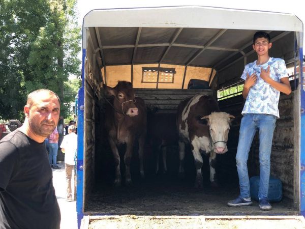 Hayvan pazarını pandemi vurdu, esnafın yüzü gülmedi
