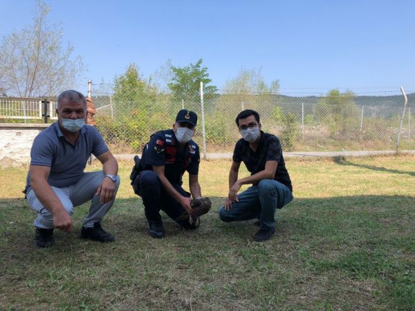 Yaralı kartala jandarma şefkati