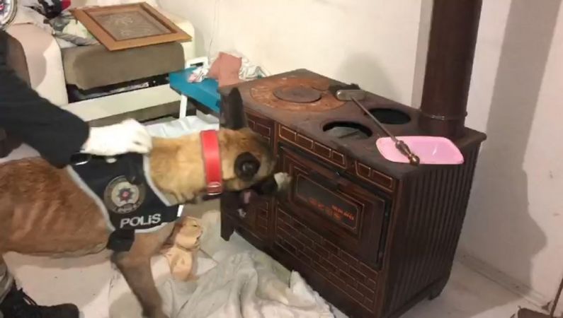 Samanlık ve soba içindeki uyuşturucu zulasını narkotik köpeği patlattı