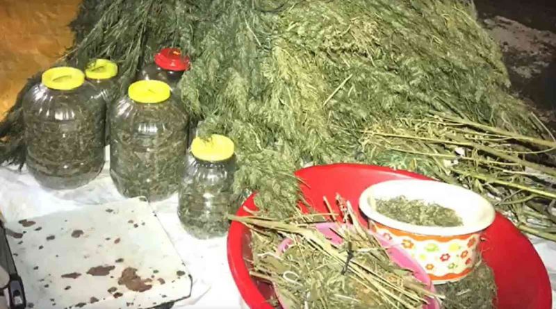 Samanlığa gizlenmiş uyuşturucu zulası böyle ortaya çıktı