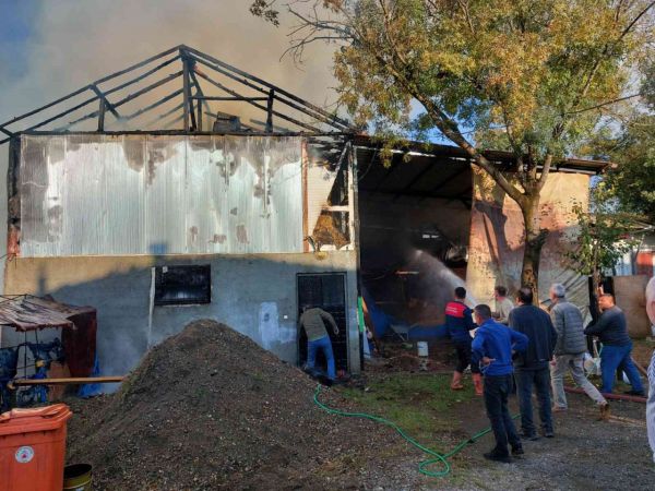 Babasına ait samanlığı yakarak kaçan şahsı jandarma ikna ederek yakaladı
