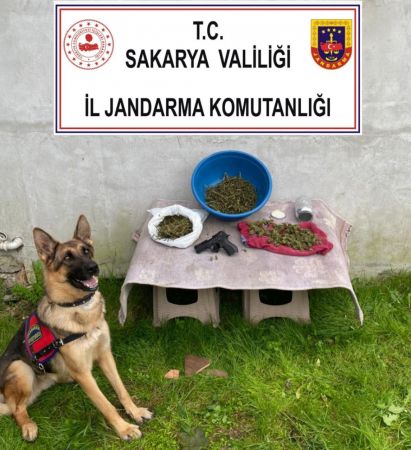Sakarya’da 1 kilo 500 gram esrar ele geçirildi