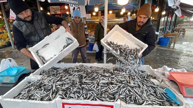 Hamsi tezgahları şenlendirdi, fiyat 10 liraya kadar düştü