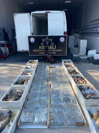 Balık yüklü araçta 53 kilo skunk esrar ele geçirildi