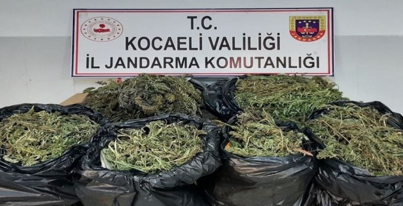 Kocaeli’de bir evde 25 kilo 685 gram esrar ele geçirildi