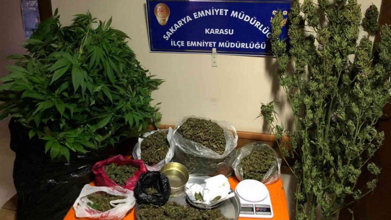 Polis, uyuşturucuya geçit vermedi