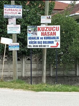Kuzucu Hasan’da kurbanlık Koçlar