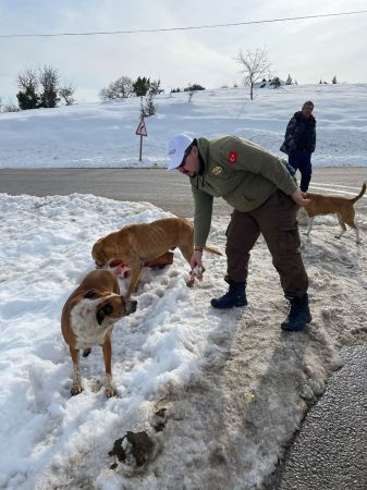 Balıkçılar sokak hayvanlarını besledi