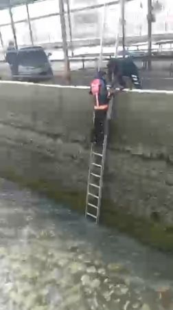 Buz gibi suda donmak üzere olan yavru köpeği itfaiye kurtardı