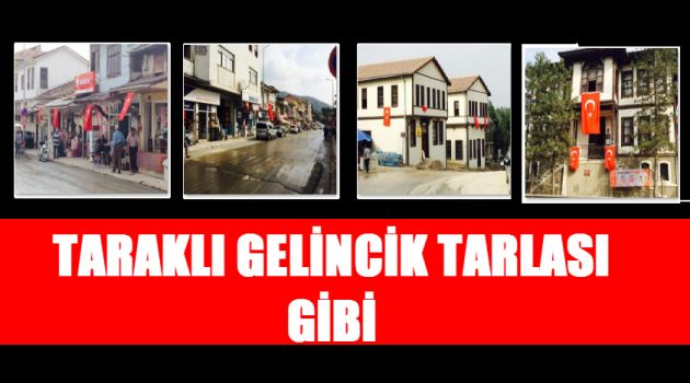 TARAKLI GELİNCİK TARLASI GİBİ
