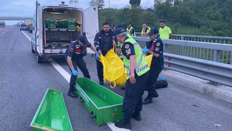 Kocaeli’de feci kaza: Arızalanan tırdan indi, başka bir tırın çarpması sonucu öldü