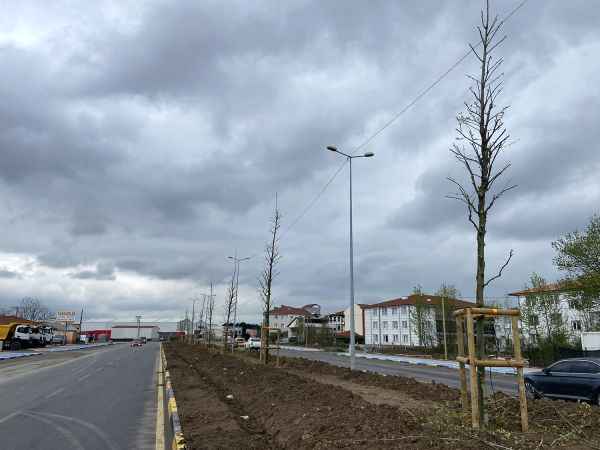 Büyükşehir’den Şehit İlhan Aras’ta ilkbahar dokunuşu