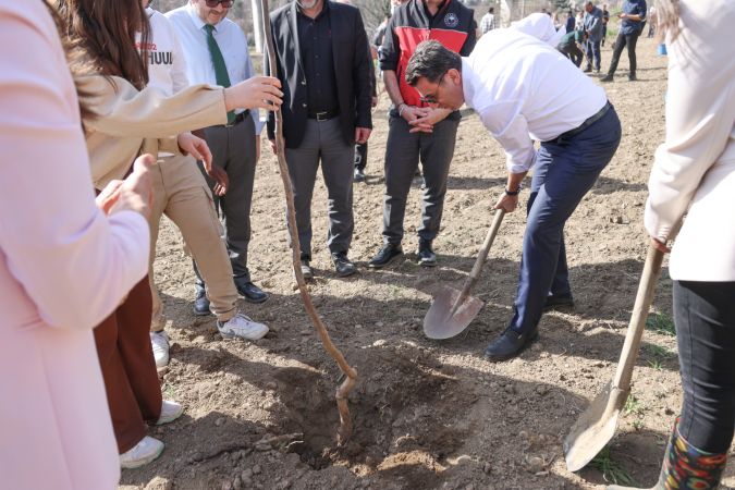  Vali Şefik Aygöl, Üniversite Öğrencileriyle Birlikte Fidan Dikti