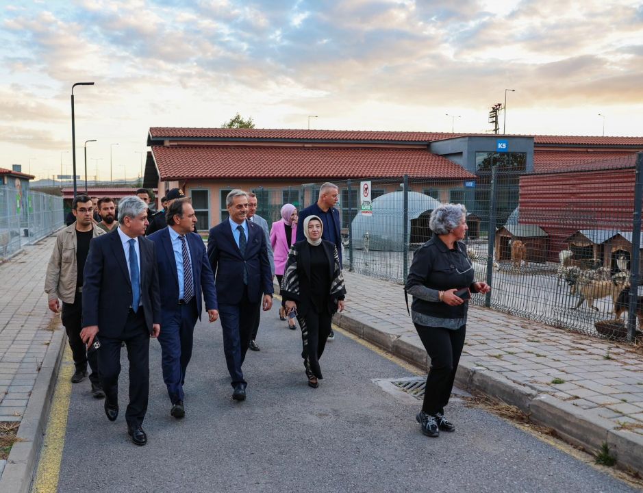 “Sokak Hayvanları Doğal Yaşam Kampüsü yakında kapılarını açacak”