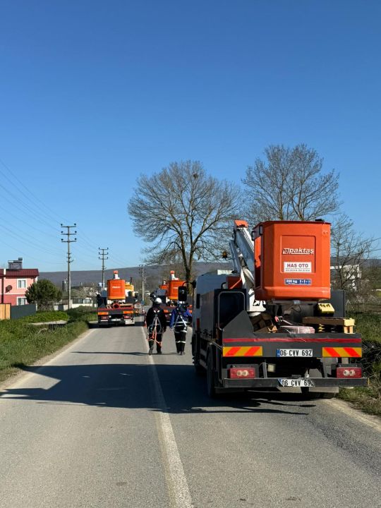 Karadere Mahallesi’nde elektrik hatlarında bakım çalışması