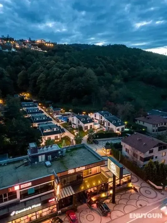 Doğanın Kalbi Sapanca’da Konaklama Rehberi: Bungalov mu Otel mi?
