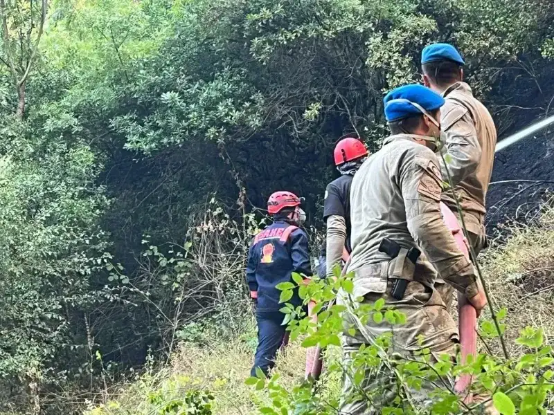 Sakarya Arama Kurtarma Ekibi SAKE, Yangınlara Karşı Seferberlikte!