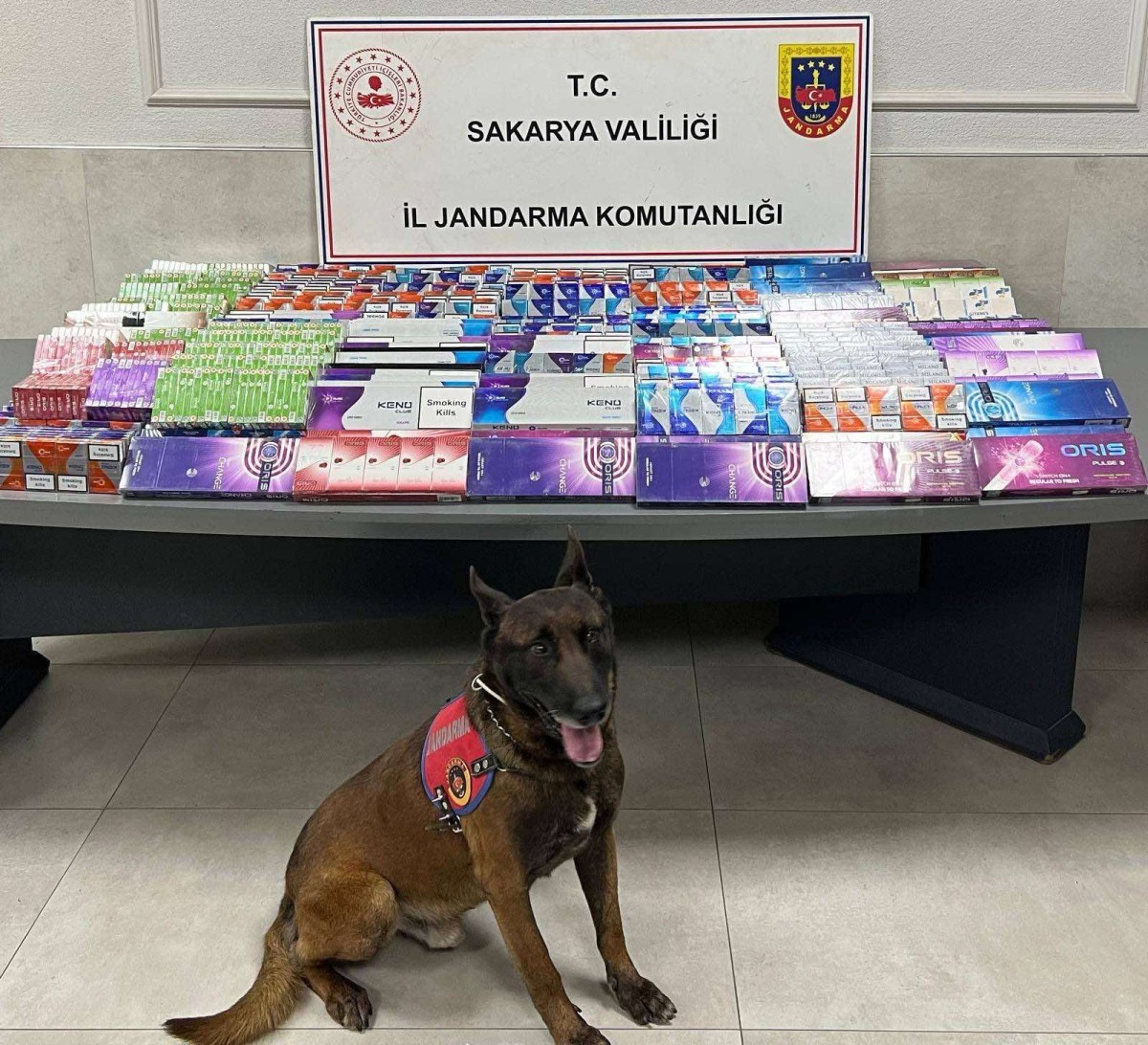 Sakarya'da kaçakçılık operasyonu 1 gözaltı